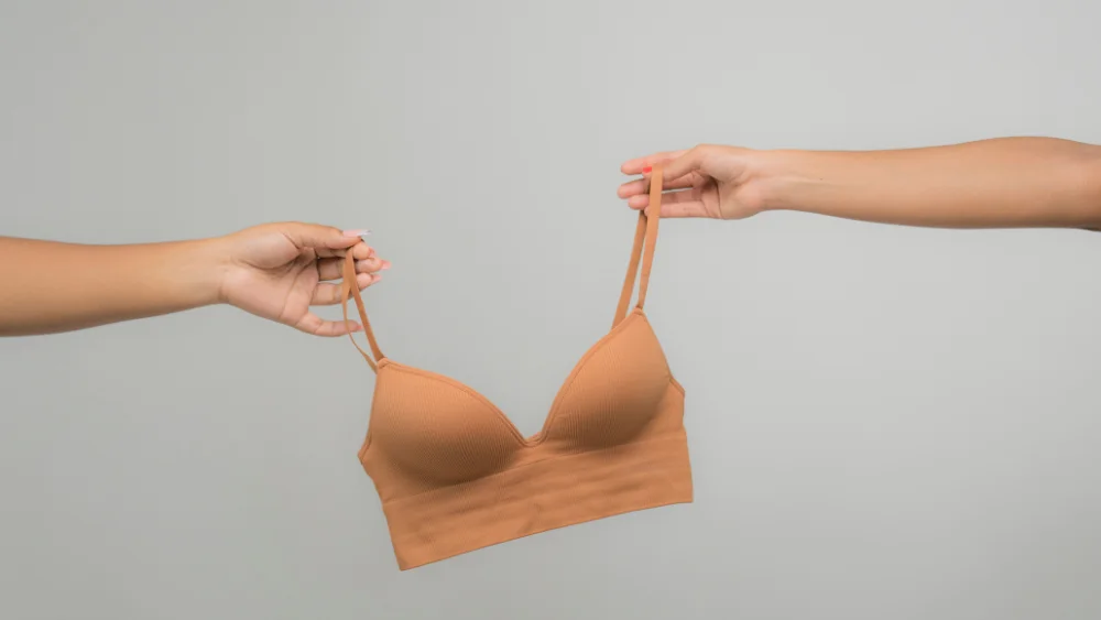 Auditing Production Capacity Through Ethical Labor Practices - Supreme Lingerie Compliance auditors evaluating production capacity and worker documentation